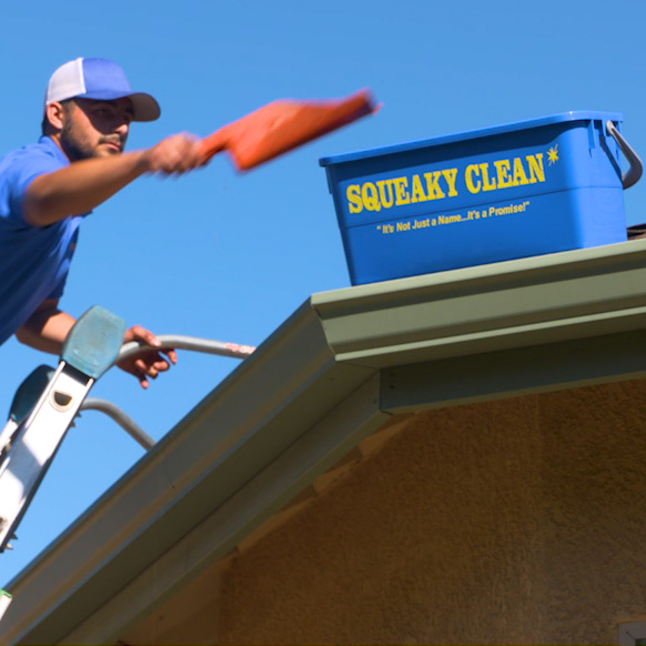 gutter cleaning