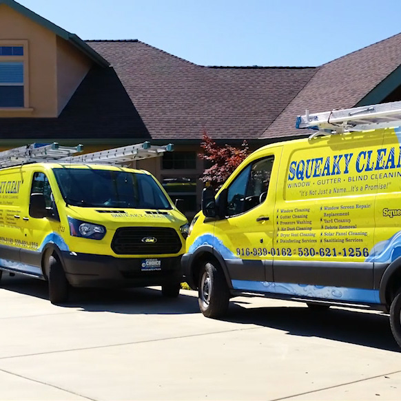 squeaky clean vans